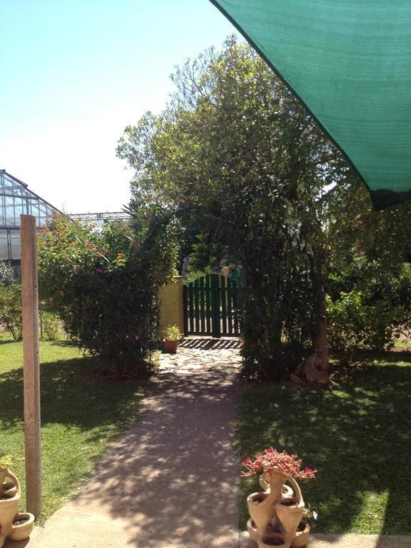 La Contea Bed & Breakfast ซานต์อันนาอาเรซี ภายนอก รูปภาพ